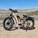 Philodo Jumbo 48V/23Ah 2000W Fat Tire Electric Bike